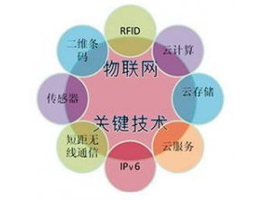 賽億科技 驅(qū)動(dòng)萬(wàn)物互聯(lián)，網(wǎng)絡(luò)技術(shù)賦能智慧未來(lái)